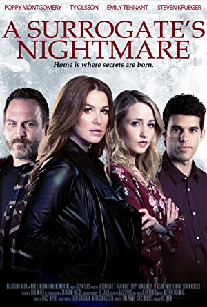 A Surrogate's Nightmare (2017) starring Poppy Montgomery on DVD on DVD